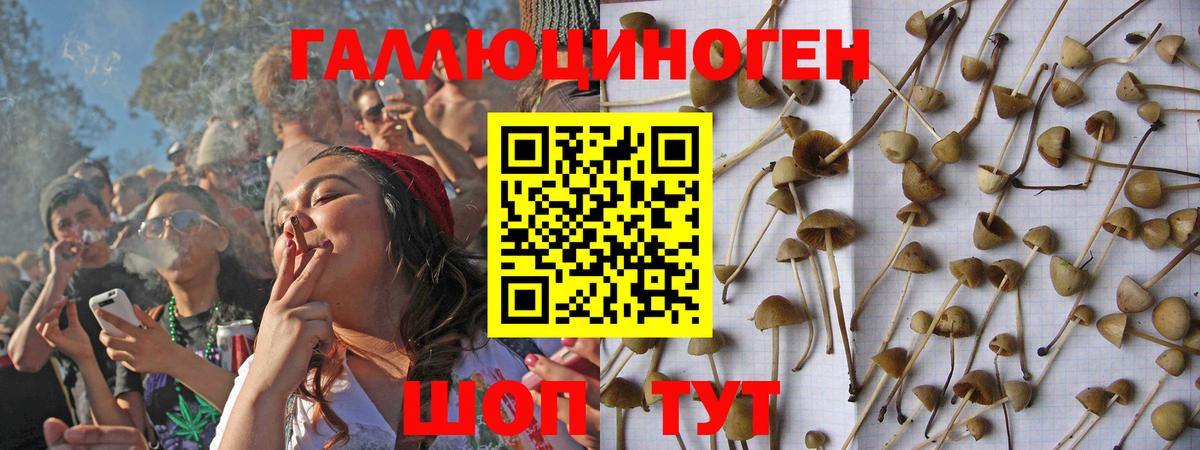 Галлюциногенные грибы GOLDEN TEACHER Клин