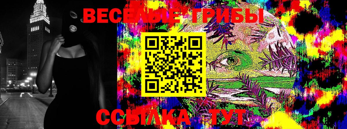 Псилоцибиновые грибы Cubensis  Вход с VPN  Клин 